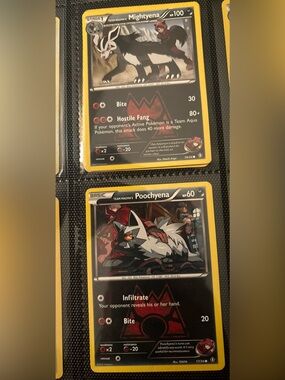 Team Magma's Poochyena/Mightyena Pokémon Cards - Black & Yellow